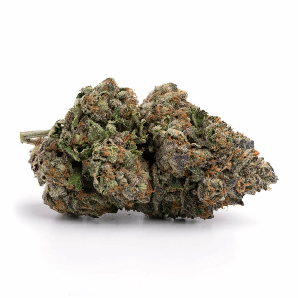 Tom Ford Pink Kush cannabis strain