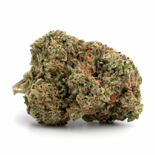 OG Kush cannabis strain