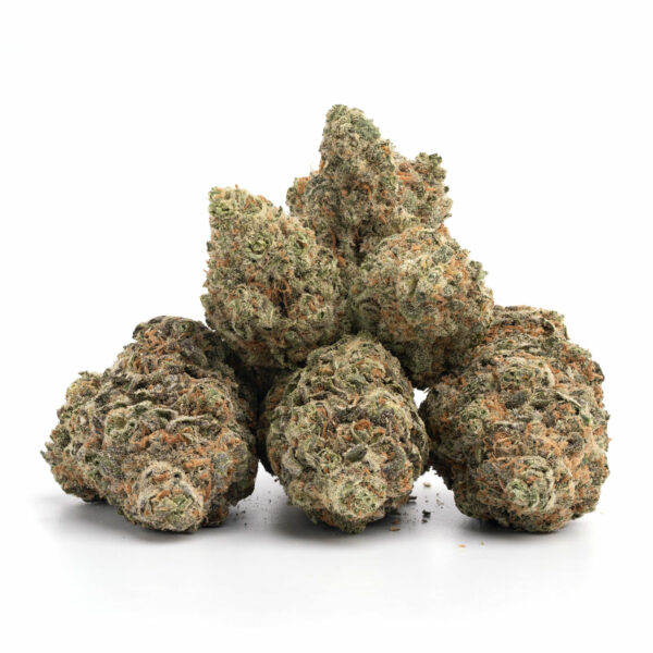Pink Kush cannabis strain