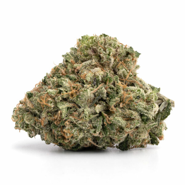 Cornbread Strain Review: Effects & Where to Buy (2026) | Weedpedia