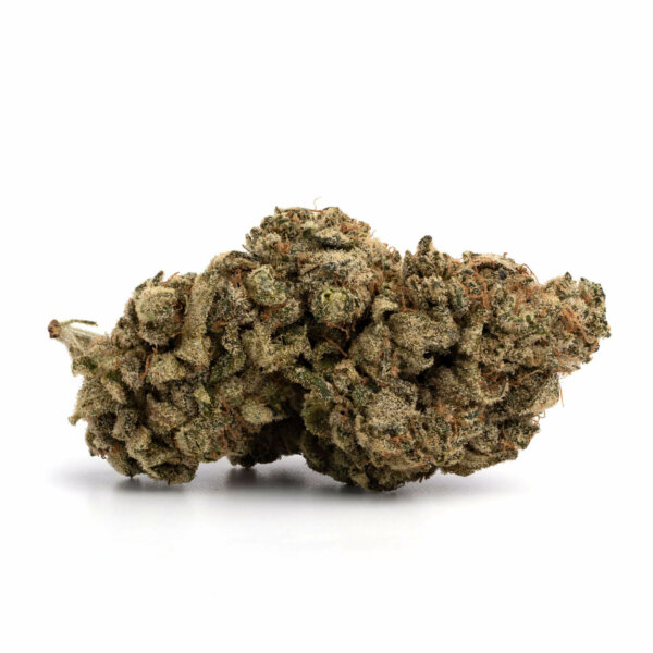 GMO Cookies cannabis strain
